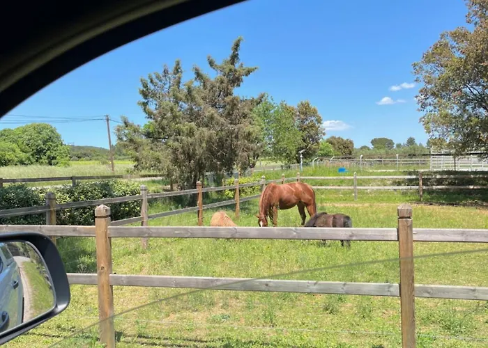 Mougere Des Oliviers Semesterbostad *